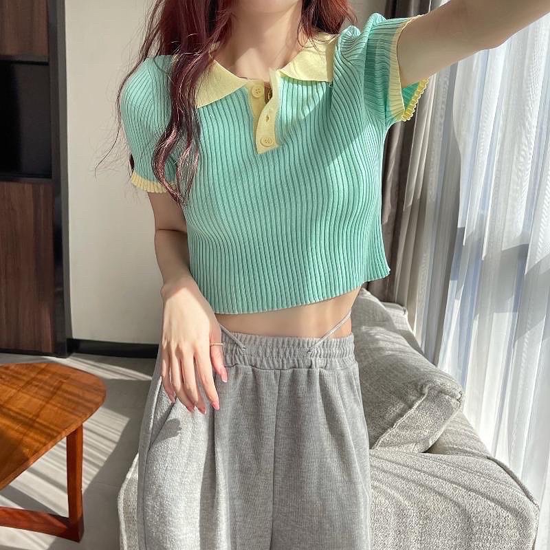 Áo croptop polo màu pastel