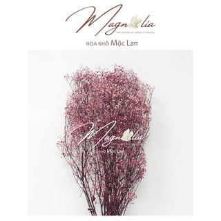 Hoa khô Decor ❤️FREESHIP❤️ Mini Baby Breath nhập khẩu Nhật Bản trang trí nhà cửa, thiệp cưới vintage