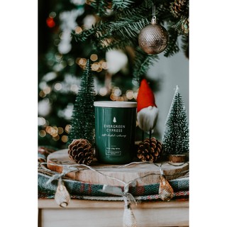 Nến thơm the candleholic evergreen cypress