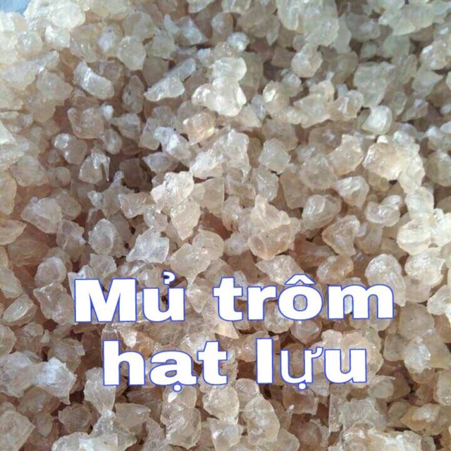 1,5 kg mủ trôm