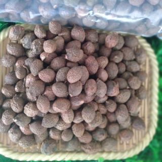 { 1KG } HẠT ƯƠI RỪNG BAY LOẠI NGON