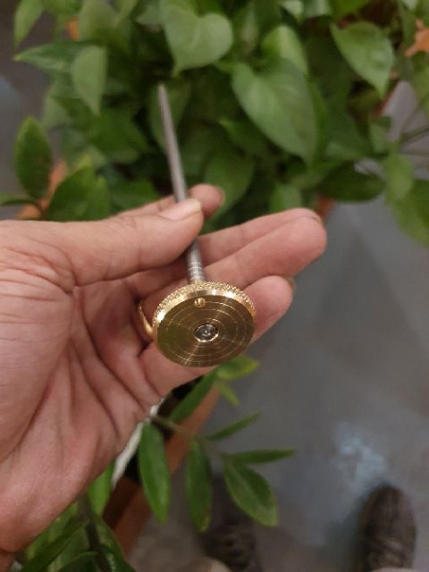 CỌC CẤM MỒI GÀ RỪNG ( MẨU THÁI )