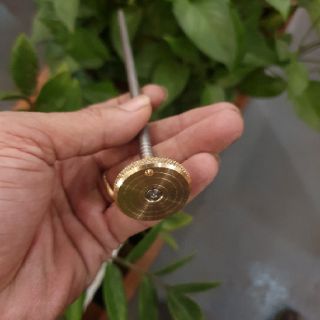 CỌC CẤM MỒI GÀ RỪNG ( MẨU THÁI )