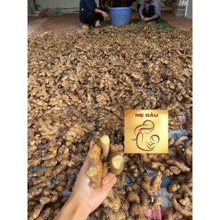 CỐT TRÀM GỪNG TỎI HANDMADE