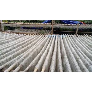 Miến Dong Núi Đá Đặc Sản Mường Khương Lào Cai Túi 1 Kg Chế Biến Thủ Công Từ 100% Củ Rong Riềng Đỏ Trồng Trên Núi Đá | BigBuy360 - bigbuy360.vn