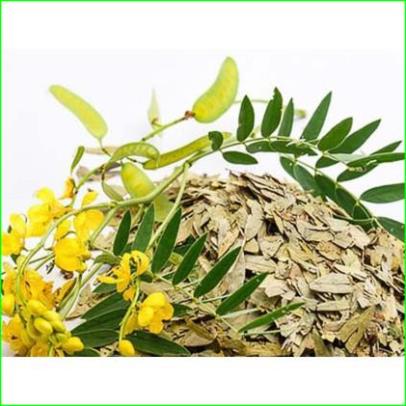 100gr Lá phan tả diệp giúp nhuận tràng, giảm cân, giảm béo