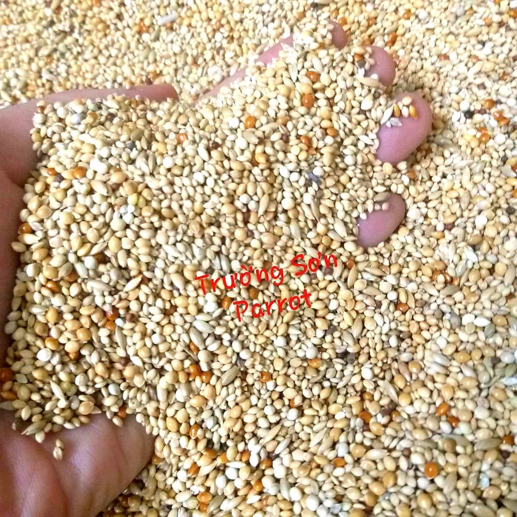 0,5/1kg hạt trộn cho finch, chim manh manh, bảy màu ....của Mannitoba