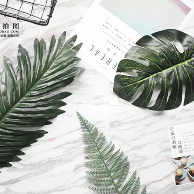 Combo 3 chiếc lá cọ làm phụ kiện chụp ảnh