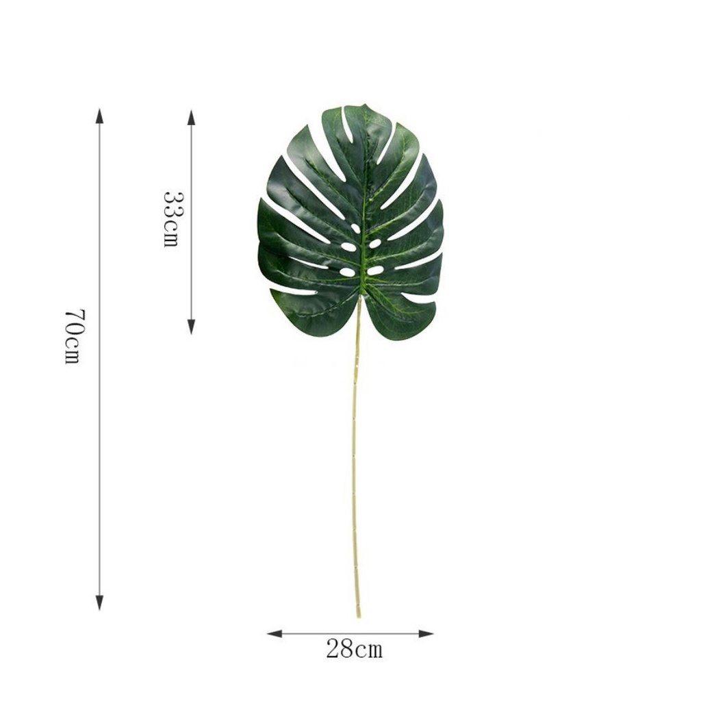 Cành lá rùa - Trầu bà lá xẻ nam mỹ monstera