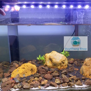 Đèn Led Thả Hồ, Ngâm Trong Hồ 40cm, Ánh Sáng Trắng, Cho Hồ Cá Cảnh, Hồ Thủy Sinh