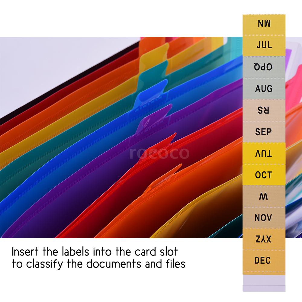 Bìa đựng tài liệu 12 ngăn khổ A4 nhiều màu sắc | BigBuy360 - bigbuy360.vn