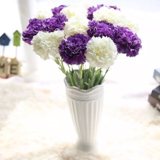 ❌⭕️❌ Hoa cẩm chướng ( ko kèm lọ) 