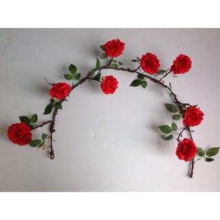 Dây hồng leo cao cấp 1,8m