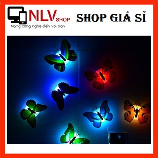 🎁Deal Hot🎁 Đèn Led Bướm Phát Quang Trang Trí Dán Tường