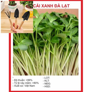 Hạt Giống Mầm Cải Xanh Đà Lạt 20gr TẶNG BỘ LÀM VƯƠN MINI