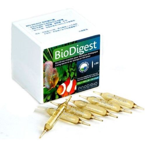 Vi sinh sống BIO DIGEST ( 1 ống )