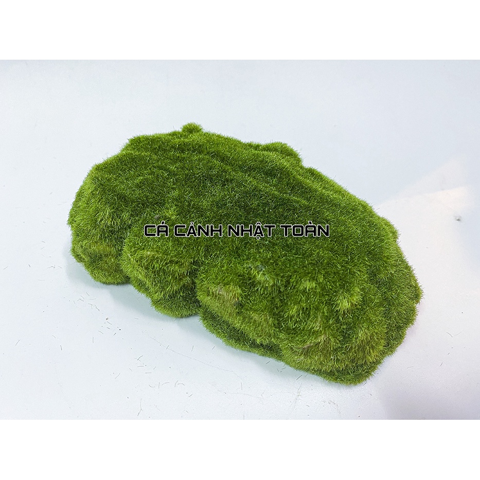 HANG PHỦ RÊU CHO TÔM TÉP CÁ NÚP TRANG TRÍ BỂ CÁ 13X8X3CM