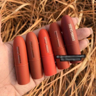 SET 5 THỎI SIVANA