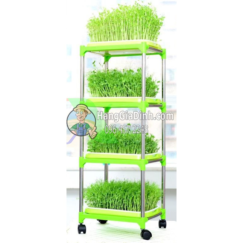 Bộ kệ trồng rau mầm cỏ lúa mì 4 tầng + 4 khay  2 lớp có bánh xe