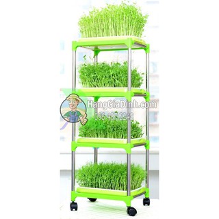[RẺ - BỀN] Bộ kệ trồng rau mầm cỏ lúa mì 4 tầng + 4 khay  2 lớp có bánh xe