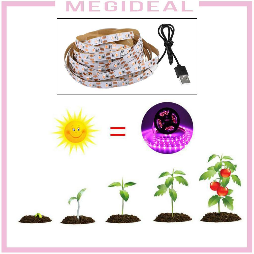 Dây Đèn Led Trồng Cây Usb 5v Smd 2835