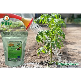 2 túi Men ủ sinh học Trichoderma - 1kg/túi