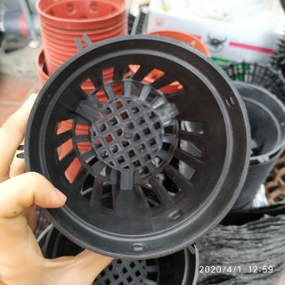 10 Chậu nhựa đen Phi 12cm trồng lan