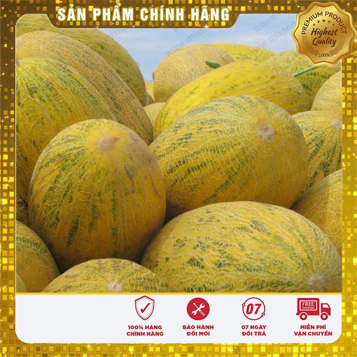 HẠT GIỐNG DƯA LƯỚI VÀNG - 10 HẠT