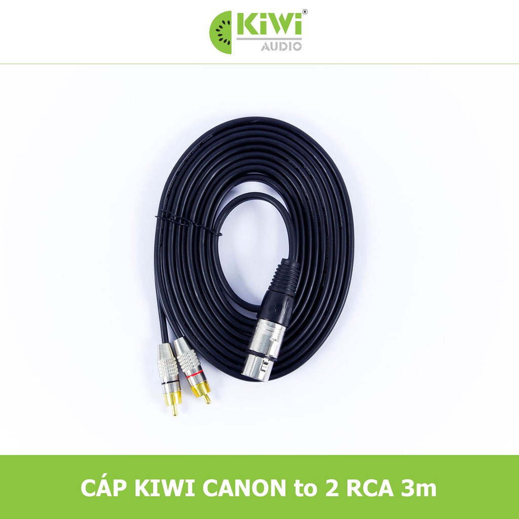 DÂY CANON CÁI RA 2 AV BẰNG ĐỒNG DÀI 3M CHÍNH HÃNG KIWI