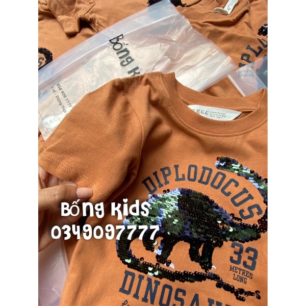 Áo Phông Bé Trai Khủg Long Sequin Nâu Cam HaM