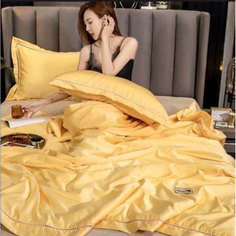 Bộ phi lụa Luxury chăn trần mềm mại mát rượi thoáng mát,bộ 4 món phi lụa luxury chăn trần mềm mại