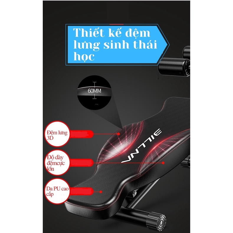 Ghế tập bụng đa năng BN-6403