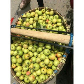 4kg táo mèo tươi