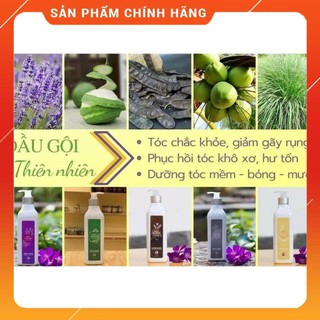 Dầu gội thiên nhiên trần mao