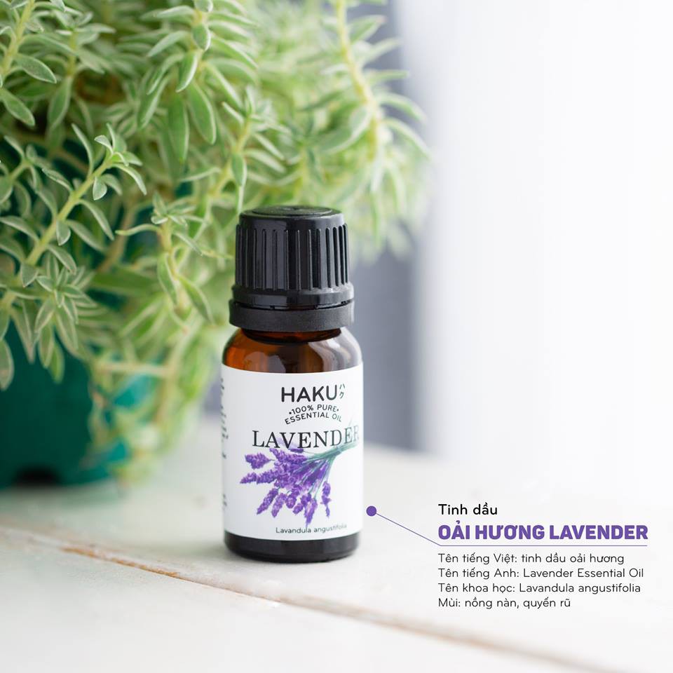 Tinh dầu Oải Hương Lavender