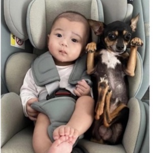 Ghế ngồi ô tô CHILUX, Ghế ô tô cho bé CHILUX Roy 360 An toàn cùng bé đồng hành trên mọi nẻo đường