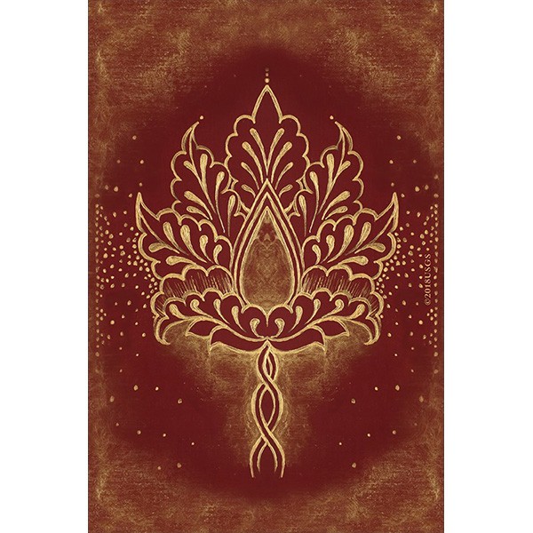 Bộ Bài Buddha Wisdom, Shakti Power (Mystic House Tarot Shop)