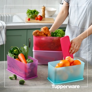 Bộ bảo quản thực phẩm Tupperware Funtastic 3.1L