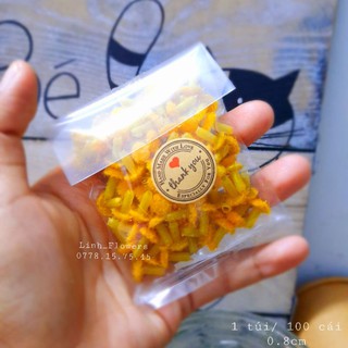 [GIẢM GIÁ] 100 Nhị Lông 0.8cm