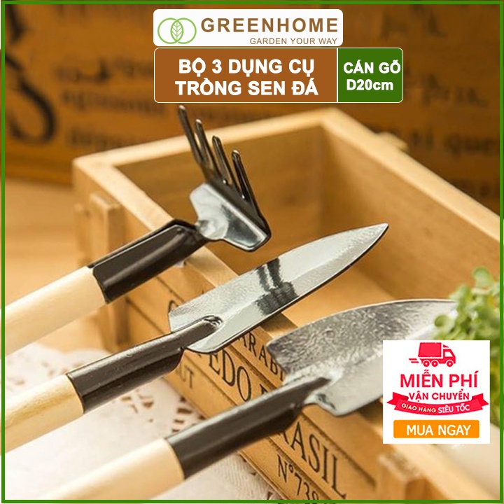 2 bộ Dụng cụ làm vườn mini, 3 món tiện lợi, chuyên dụng trồng Sen đá ,cán gỗ |Greenhome