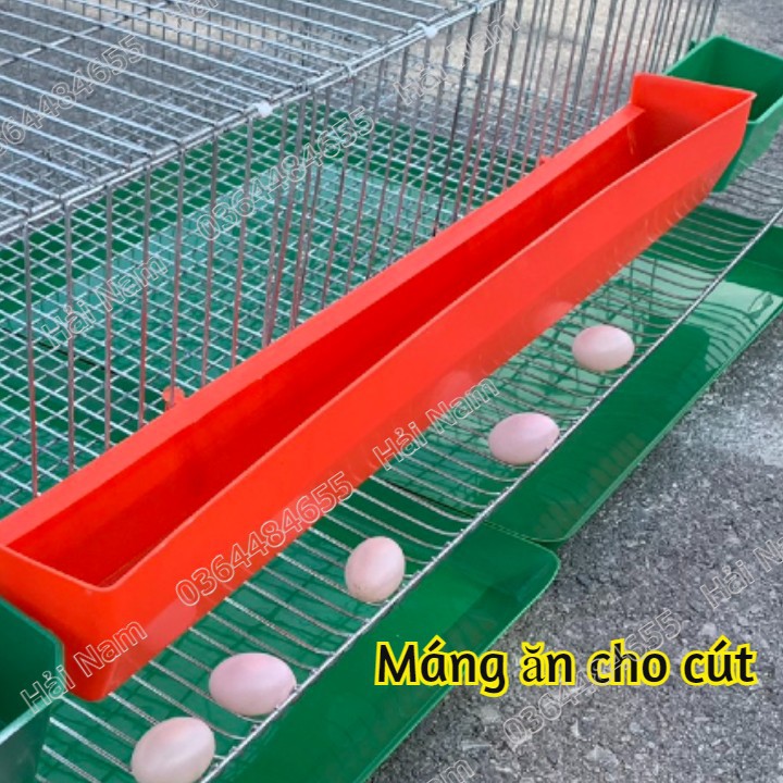 COMBO 5 MÁNG ĂN MÁNG UỐNG CHO CHIM CÚT-MÁNG ĂN TIỆN DỤNG CHO CHIM