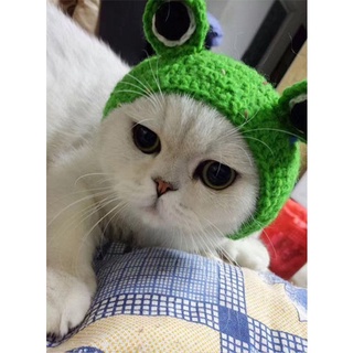 Băng đô cài tóc ếch xanh