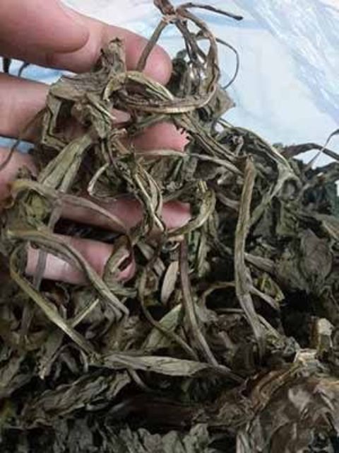 2kg bồ công anh khô tự hái phơi (chữa đc tắc ti)