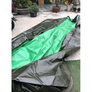Bể bạt nuôi ốc ếch cá xanh bộ đội 6x3x1