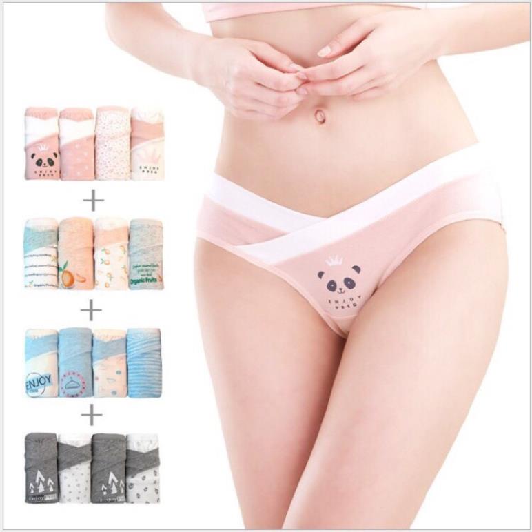 Sét 4 Quần Lót Bầu Cotton Cao Cấp Túi Zíp 20020