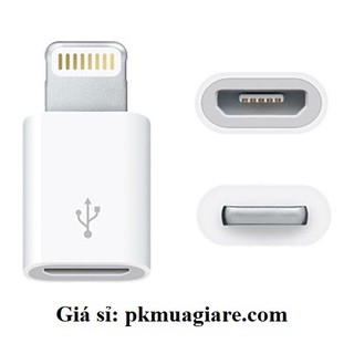 Đầu chuyển lightning sang micro