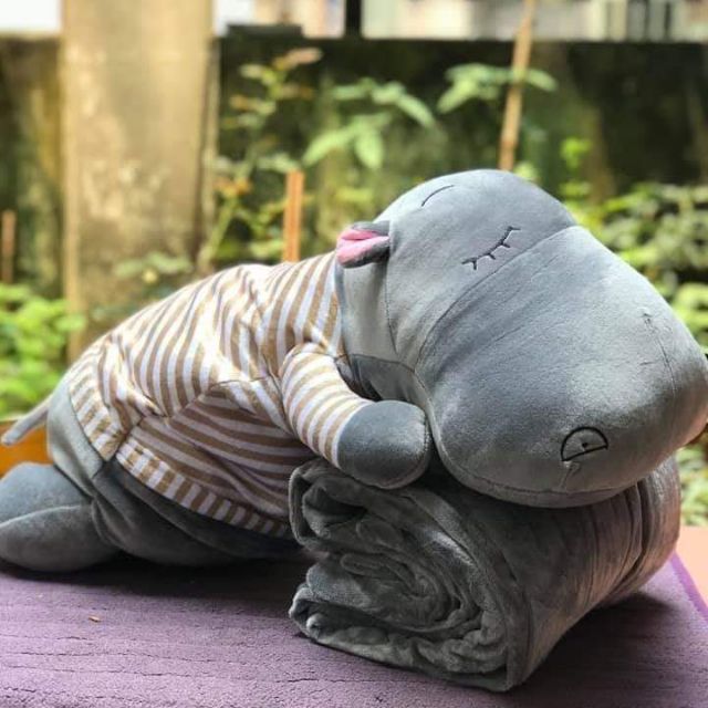 Bộ chăn gối hà mã (hàng khuyến mãi bobby)