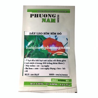 20H - HẠT GIÔNG HOA BÌM BÌM ĐỎ