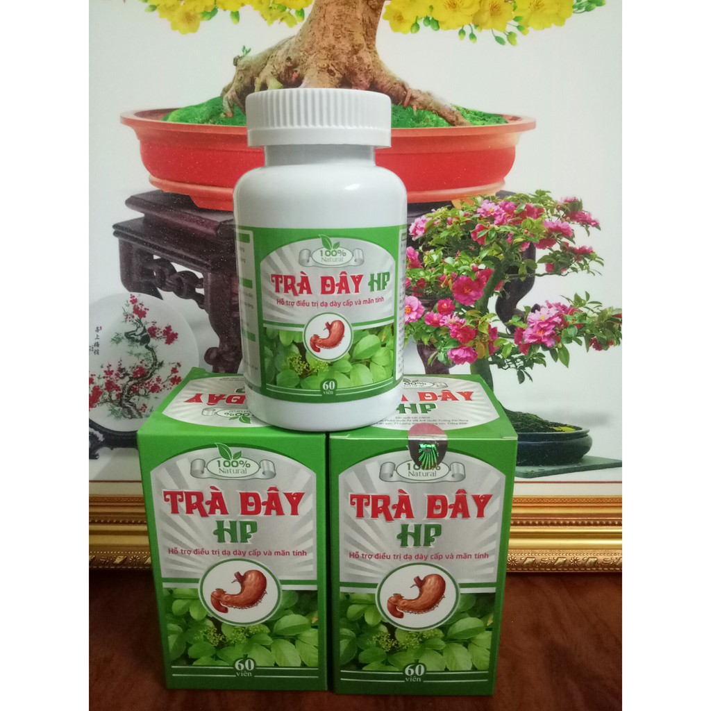 Viên Trà Dây Hải Phong