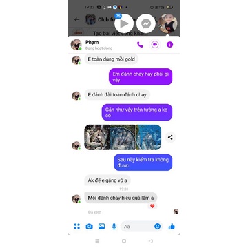 Mồi câu cá chép siêu nhạy ngũ côc